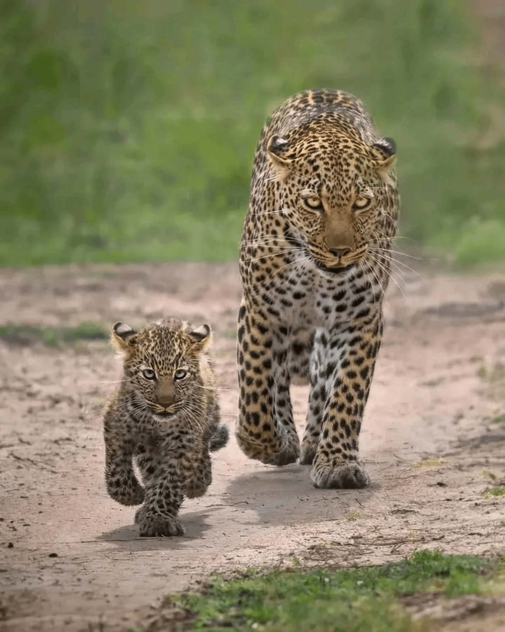 Barnabas mutunga's story on Join Africa