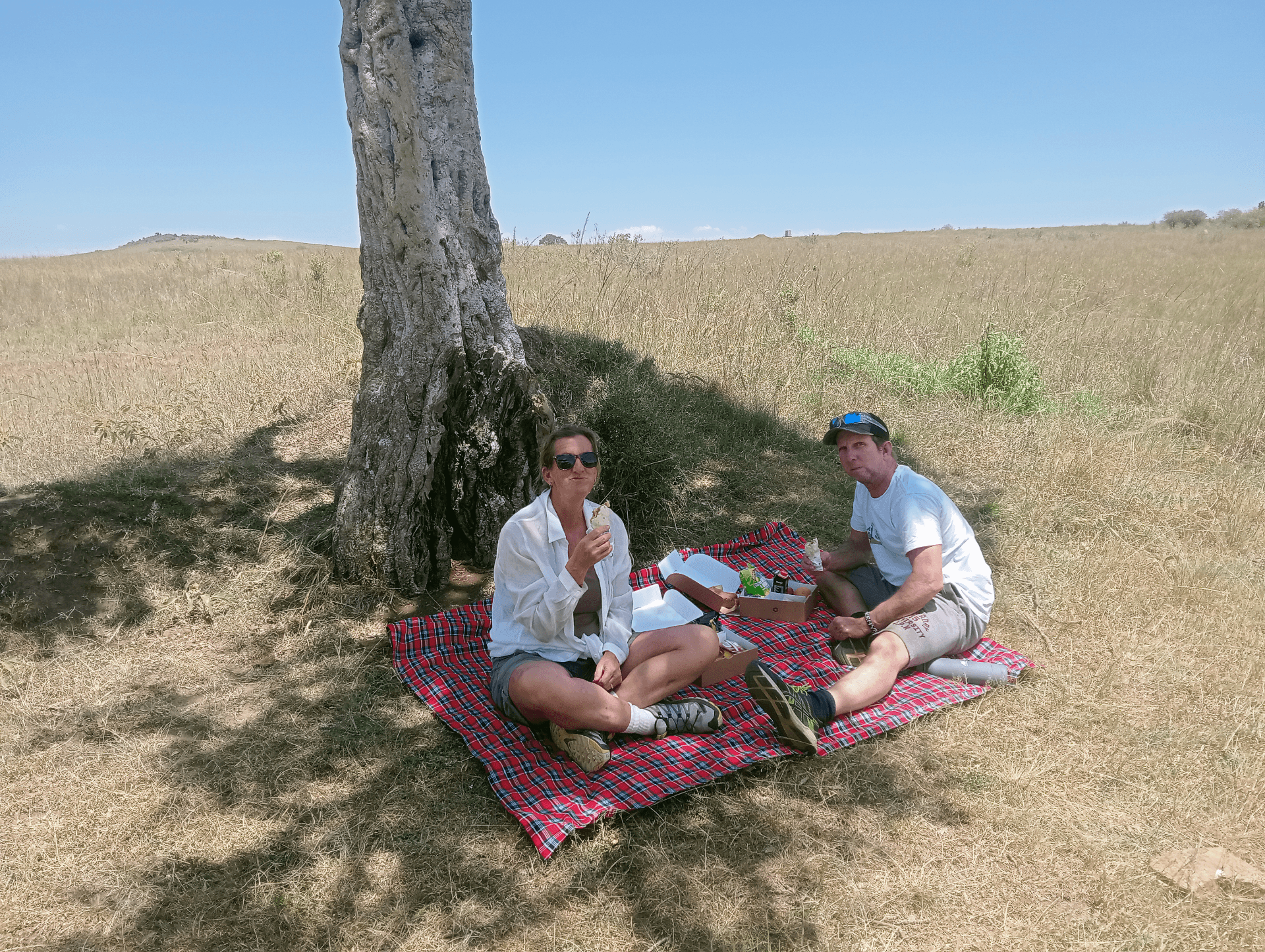 Picnic lunch under a picnic tree – by Habil Nyangweso