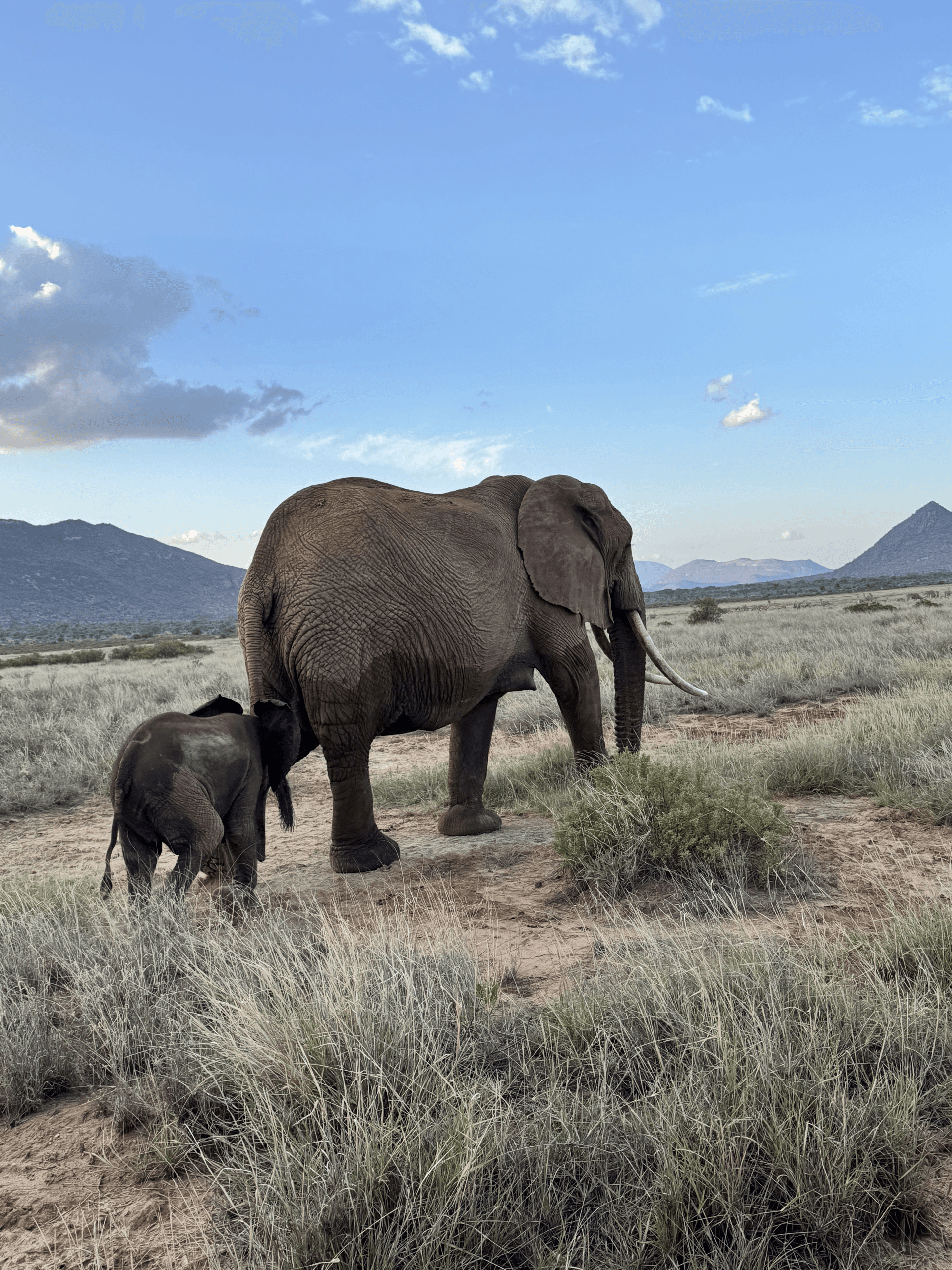 Francis Githua's story on Join Africa