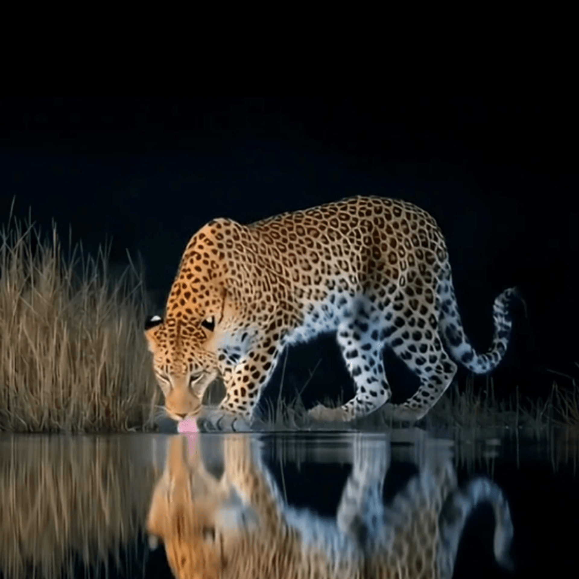 #meru – by Maloi Manyuele